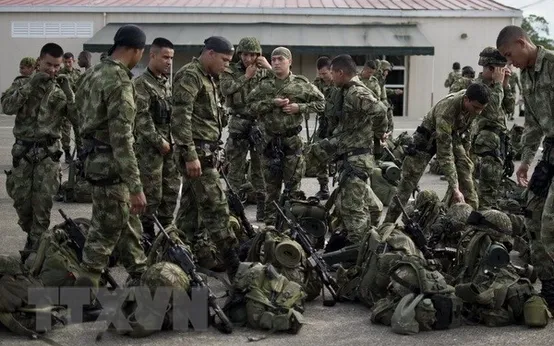 băng nhóm ma túy: Tin tức, Video, hình ảnh băng nhóm ma túy
