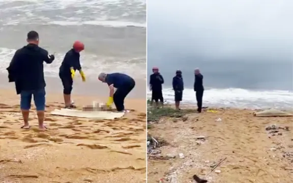 bet66-45 về lại đứng chắc trong tháng | cm88.host