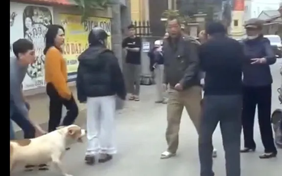 Hà Nội: Tạm giữ hai cha con liên quan vụ thả chó dữ cắn người