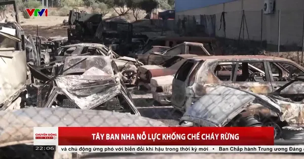 vtv.vn