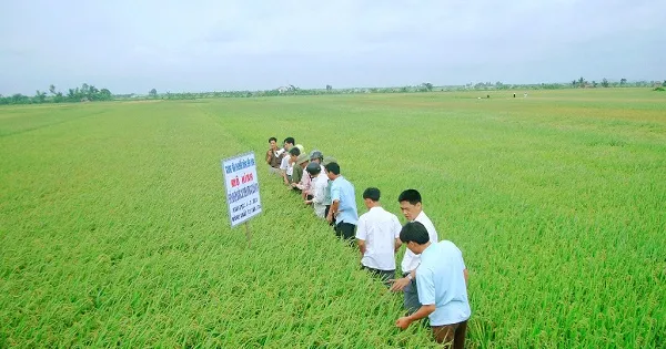 Câu chuyện của những HTX điển hình trong nông nghiệp (17h25, ngày 3/3, VTV1)