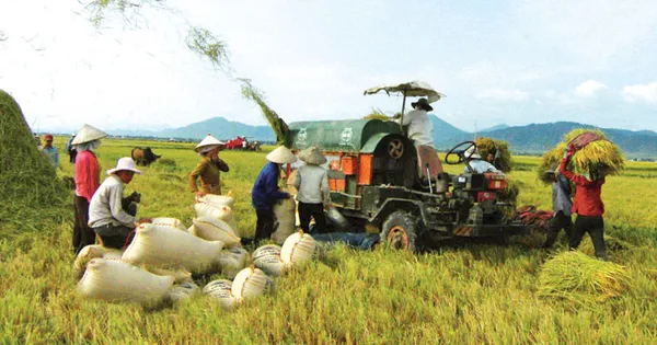 Quảng Trị huy động các nguồn lực đẩy mạnh phát triển nông nghiệp (17h25, 31/3, VTV1)