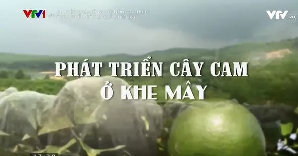 Chuyện nhà nông với nông nghiệp: Phát triển cây cam ở Khe Mây