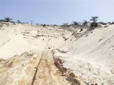 Chuyện nhà nông với nông nghiệp: Làm giàu trên vùng cát trắng