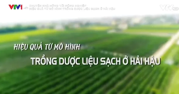 Chuyện nhà nông với nông nghiệp: Hiệu quả từ mô hình trồng dược liệu sạch ở Hải Hậu