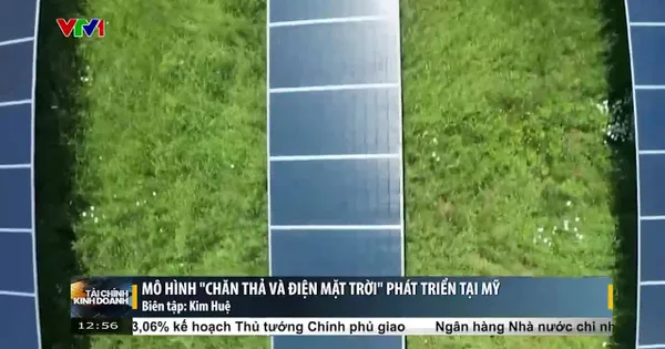 Mô hình chăn thả kết hợp với điện mặt trời đối mặt với những rào cản tại Mỹ