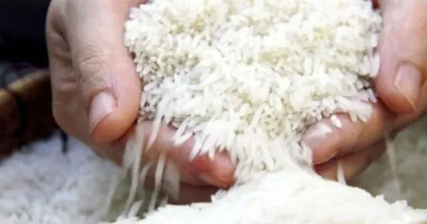 Mở rộng thị trường để gia tăng giá trị gạo Việt