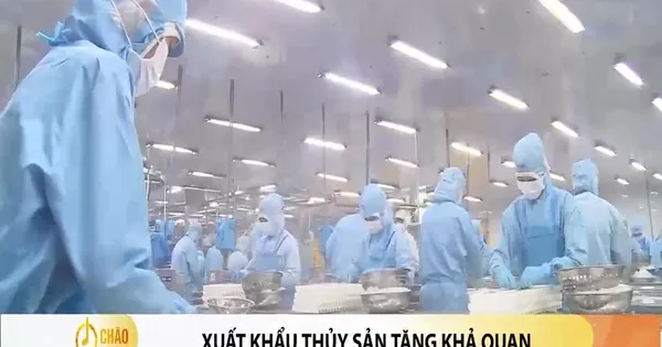 Xuất khẩu thủy sản hướng đến mục tiêu 11 tỷ USD 