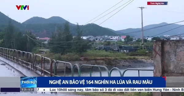 Nghệ An bảo vệ 164 nghìn ha lúa và rau màu