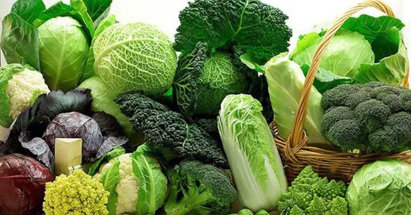 Thị trường rau Mỹ chao đảo vì an toàn thực phẩm