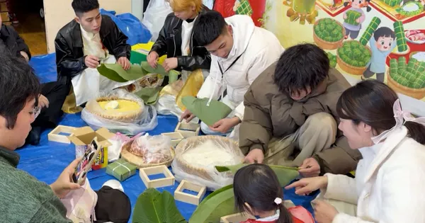 Japan Link - 19.02.2026