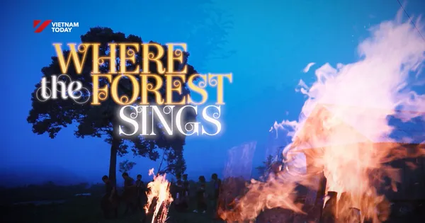 Where the forest sings | Discovery