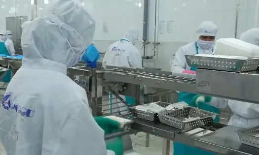 Xuất khẩu nông, lâm, thủy sản đạt gần 36 tỷ USD