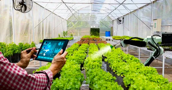 Nhu cầu tiêu dùng xanh, sạch tăng 15% mỗi năm