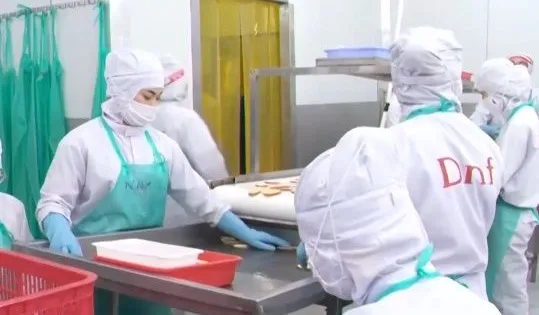 Nông sản Việt tìm giải pháp tăng trưởng cuối năm