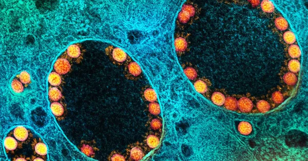 Mỹ lần đầu phê duyệt vaccine cúm mùa ứng dụng công nghệ mRNA