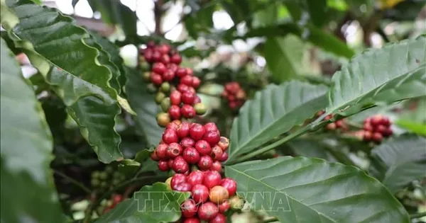 Đề xuất cắt giảm 40 thủ tục, 40 điều kiện kinh doanh trong nông nghiệp