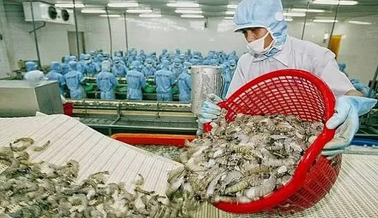 Nông sản vào Italy chịu kiểm tra gắt gao