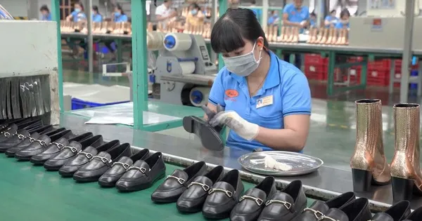 Doanh nghiệp thủy sản, giày dép kiến nghị gỡ khó C/O