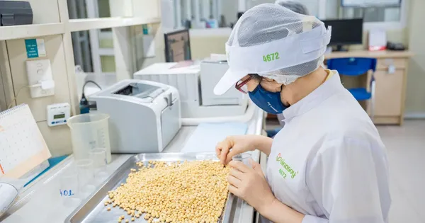 Khám phá nhà máy Vinasoy, tìm hiểu cách sản xuất sữa đậu nành và sữa hạt