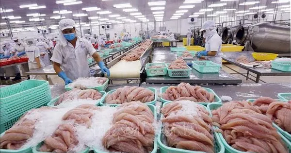 Thủy sản Việt Nam với mục tiêu 12 tỷ USD