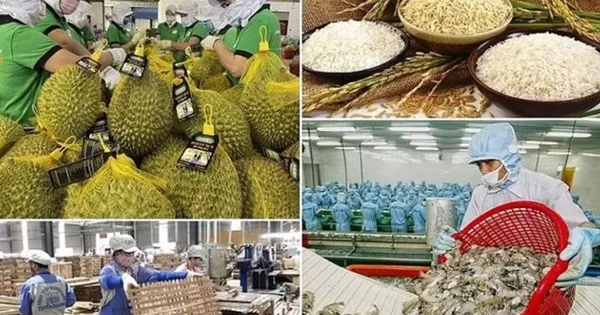 Xuất khẩu nông, lâm, thủy sản đạt gần 49,31 tỷ USD sau 8 tháng