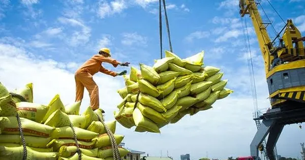 Chủ động giữ ổn định hoạt động xuất khẩu gạo