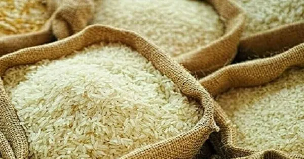 Đa dạng thị trường xuất khẩu gạo