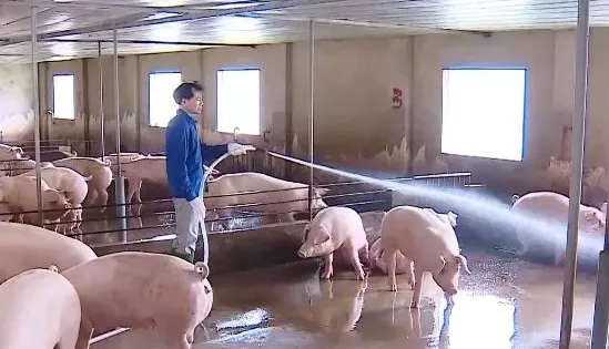 Ngành chăn nuôi hướng tới 1 - 1,5 tỷ USD xuất khẩu vào năm 2030