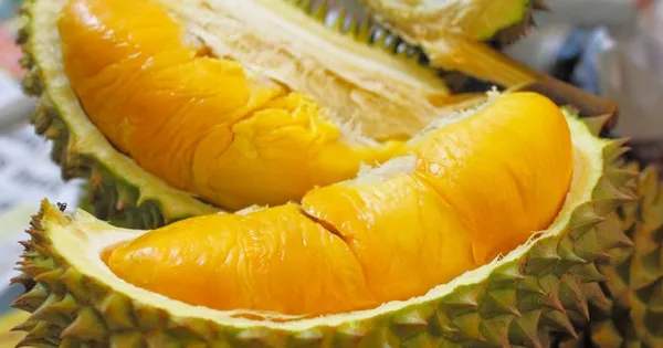 Kiểm soát an toàn thực phẩm trước khi xuất khẩu