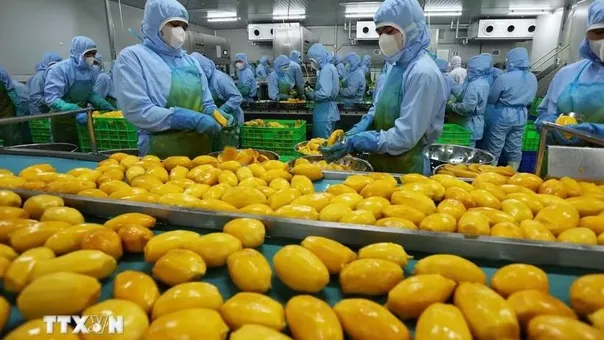 Mỹ thúc đẩy xuất khẩu nông sản sang Việt Nam