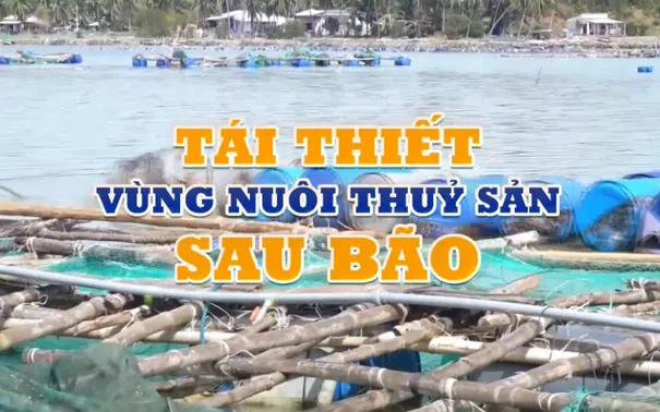 Tái thiết vùng nuôi thủy sản sau bão