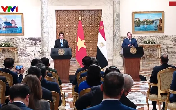 Tuyên bố chung về nâng cấp quan hệ lên Đối tác Toàn diện giữa Việt Nam và Ai Cập