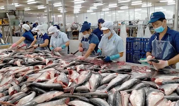 Cao điểm gỡ thẻ vàng thủy sản