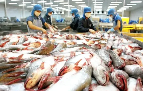 Thủy sản Việt Nam trước cơ hội vượt mốc 12 tỷ USD xuất khẩu
