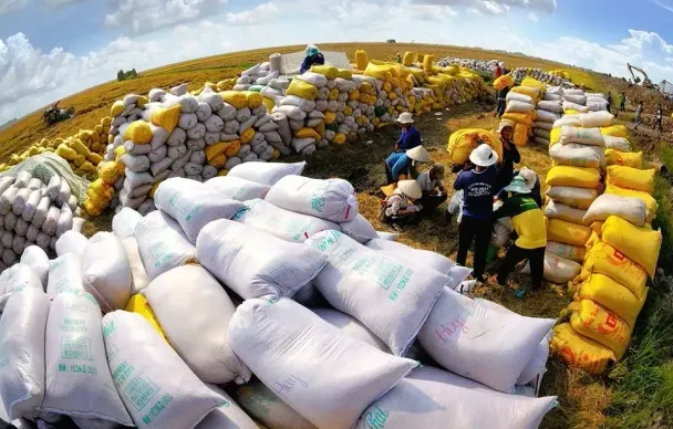 Bộ Công Thương thu hồi 10 giấy chứng nhận kinh doanh xuất khẩu gạo