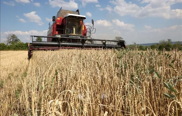 EU sẽ giảm hạn ngạch miễn thuế đối với các sản phẩm nông nghiệp của Ukraine