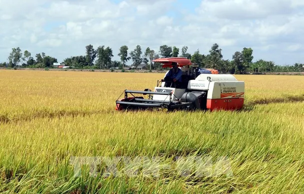 Chủ động kịch các kịch bản tiêu thụ nông sản