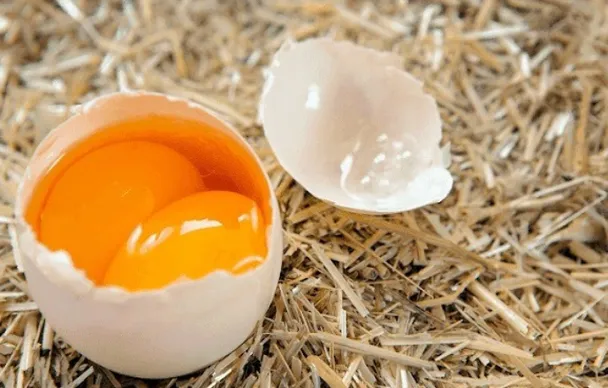 Đề nghị Bộ Công an điều tra, xử lý việc tung tin trứng giả