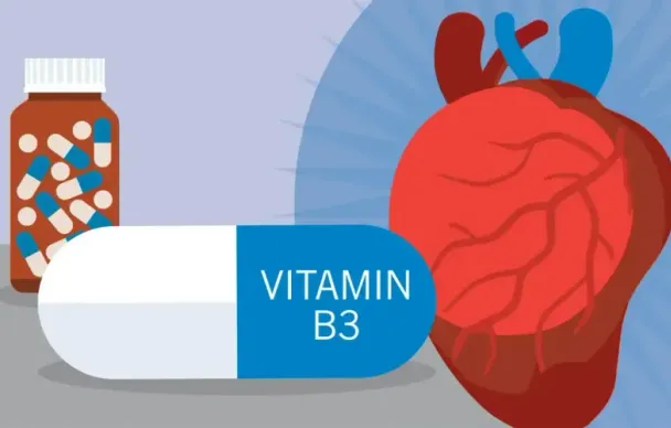 Những loại vitamin có thể hỗ trợ giảm mỡ máu
