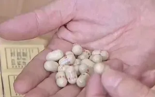 Phát hiện đường dây làm giả thuốc đông y “chữa xương khớp, dạ dày”