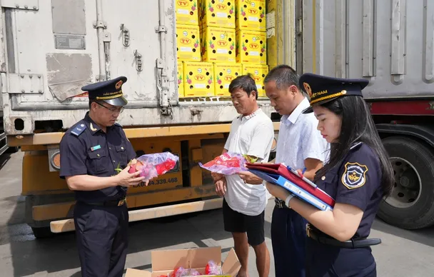 Hải quan phát hiện, ngăn chặn hàng loạt vụ gian lận xuất xứ, "đội lốt" hàng Việt