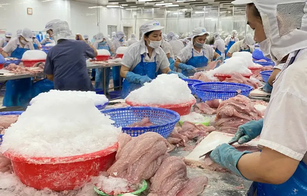 Xuất khẩu cá tra sang thị trường EU duy trì đà tăng trưởng