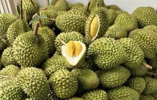 Ưu tiên thông quan nông lâm thủy sản và sầu riêng