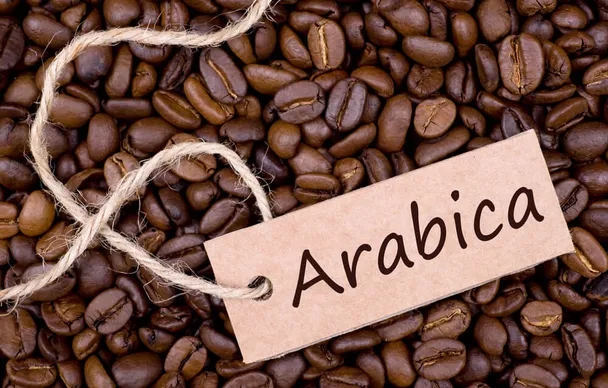 Sự trỗi dậy của cà phê Arabica Việt