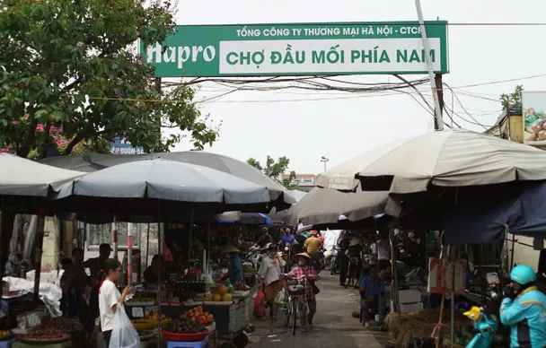 Chợ đầu mối Đền Lừ: Nơi nhịp sống chưa bao giờ tắt và khát vọng chưa từng ngủ quên
