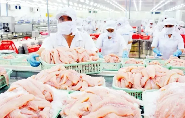 7 doanh nghiệp cá tra Việt được miễn thuế chống bán phá giá tại Mỹ