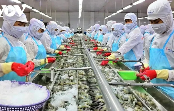 80% doanh nghiệp Việt Nam đã chủ động ứng phó với tác động từ thuế quan của Hoa Kỳ