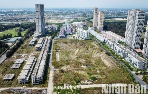 Chính phủ yêu cầu Đà Nẵng tập trung đẩy nhanh tiến độ tháo gỡ khó khăn cho 13 dự án tại bán đảo Sơn Trà