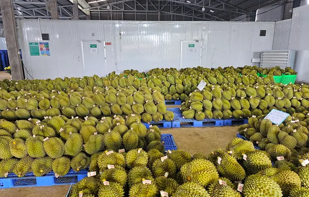 Đặt mục tiêu có 5.000 doanh nghiệp nông nghiệp vào năm 2030